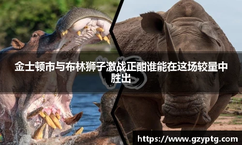 金士顿市与布林狮子激战正酣谁能在这场较量中胜出